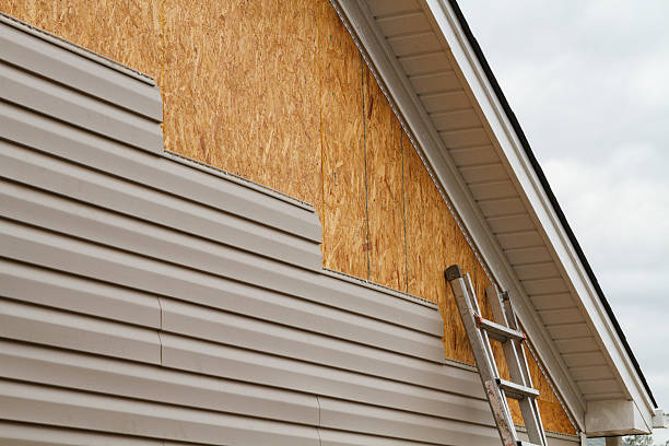 Professional Wood Siding technician working in Nederland, CO